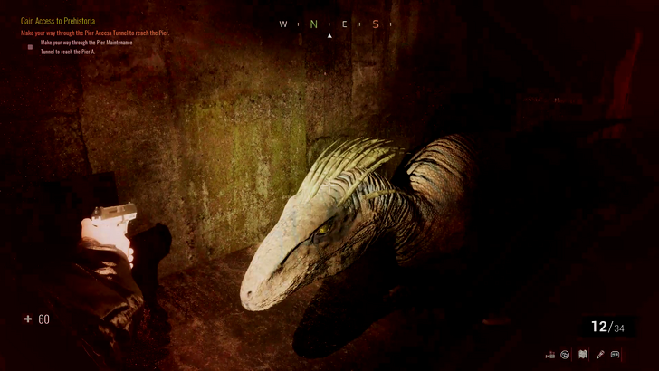 raptor in the dark